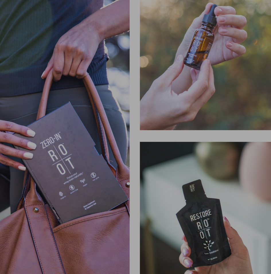 cs_restore_zero-in - ROOT-SHOP