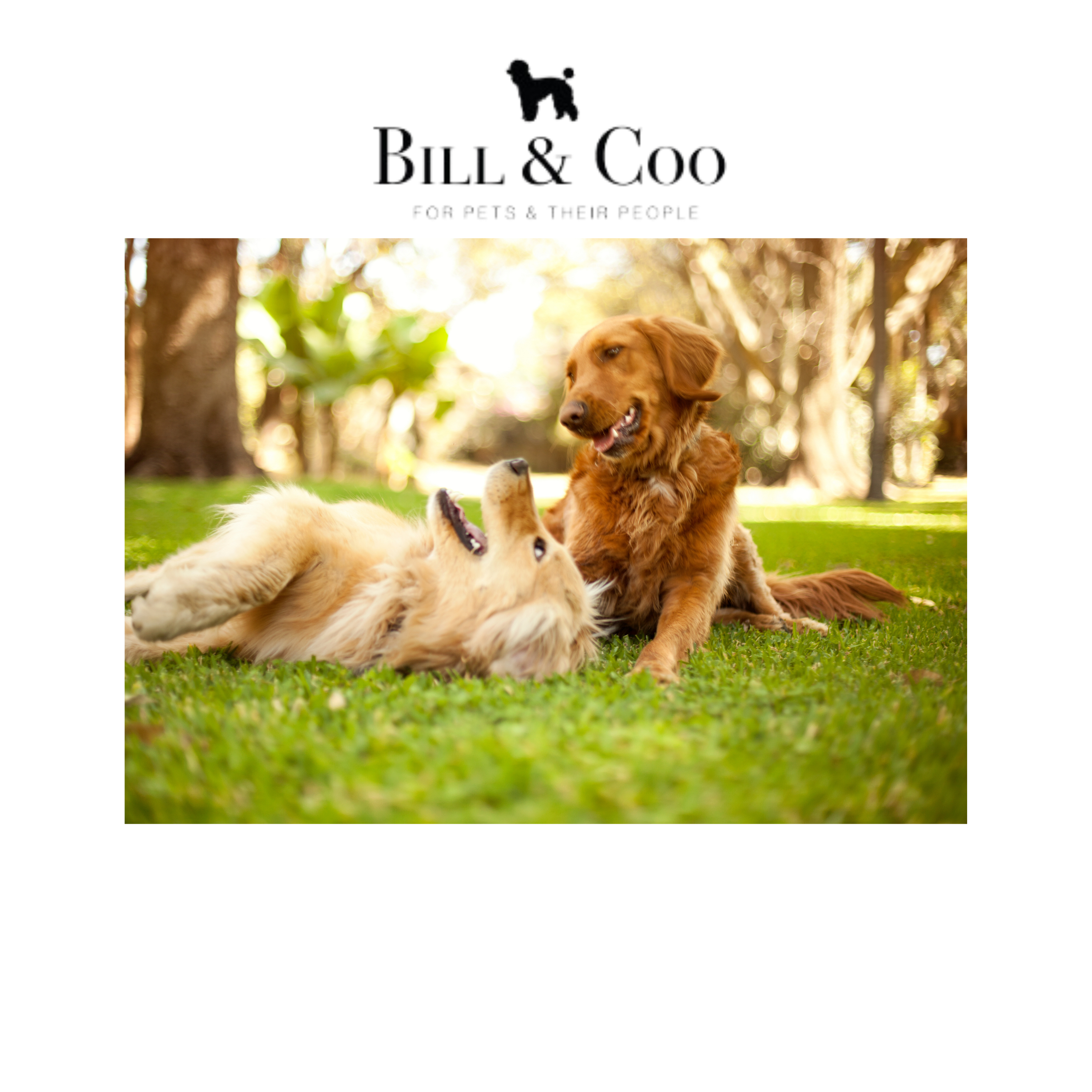 BILL & COO Defend your Pet