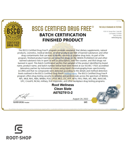 ROOT CLEAN SLATE 2er Set - ROOT-SHOP