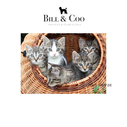 BILL &amp; COO Defend your Pet